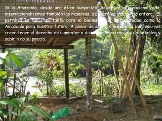 Si la Amazonía, desde una ética humanista, debe ser internacionalizada, internacionalicemos también las reservas  de petróleo del mundo entero.  El petróleo es tan importante para el bienestar de la humanidad como la Amazonía para nuestro futuro. A pesar de eso, los dueños de las reservas creen tener el derecho de aumentar o disminuir la extracción de petróleo y subir o no su precio.  
