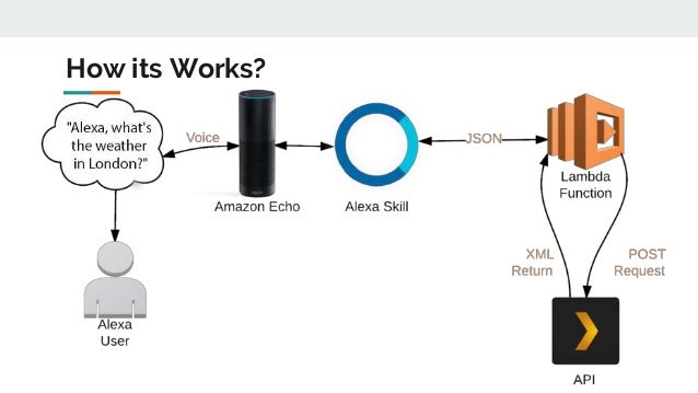 amazon alexa how the amazon echo works