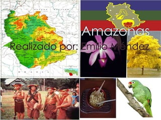 Amazonas Realizado por: Emilio Méndez 