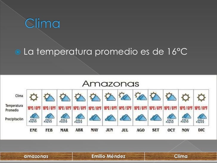Cada Cuanto Llueve En El Amazonas