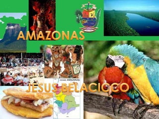 AMAZONAS JESUS BELLACICCO AMAZONAS JESUS BELACICCO 