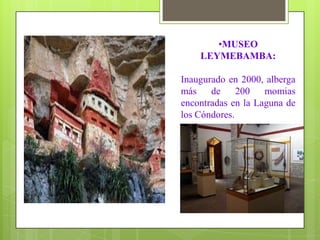 Abras: Barro Negro (Chachapoyas); Miguel Pardo (Bongará) y Rioja; Chanchilla (Chachapoyas) y Campanquiz (Condorcanqui). Pongos: Dorpin , Manseriche, Rentema, Huaracayo, Umari, Cumbinama y Escurrebraga.RELIEVEMuy accidentado y abarca regiones interandina y selvática. Destacan la Cordillera El Cóndor, entre la frontera Perú-Ecuador, la Cordillera Central Andina, que da origen a la Cuenca Hidrográfica del Río Marañón. 