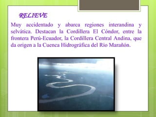 PRODUCCIÓN AGROPECUARIA: Café, yuca, cacao, arroz, coca y caña de azúcar.
