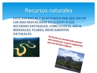 Recursos naturales
Este estado se caracteriza por ser uno de
los mas destacados en cuanto a sus
recursos naturales, como lo es el agua,
minerales, flores, medicamentos
naturales
 