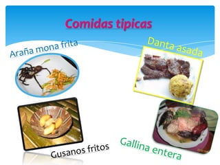 Comidas tipicas
 