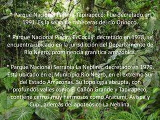 * Parque Nacional Parima-Tapirapecó: Fue decretado en
      1991. Es la selva de cabeceras del río Orinoco.

* Parque Nacional Piedra El Cocuy: decretado en 1978, se
encuentra ubicado en la jurisdicción del Departamento de
      Río Negro, prominencia granítica amazónica.

* Parque Nacional Serranía La Neblina: decretado en 1979.
Está ubicado en el Municipio Río Negro, en el extremo Sur
     del Estado Amazonas. Su topología abrupta, con
   profundos valles como El Cañón Grande y Tapirapecó,
  contiene cerros muy hermosos como Aracumi, Avispa y
         Cupi, además del apoteósico La Neblina.
 