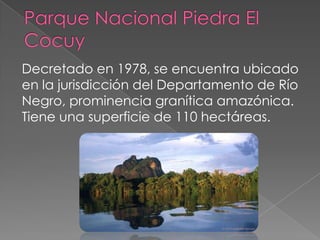 Decretado en 1978, se encuentra ubicado
en la jurisdicción del Departamento de Río
Negro, prominencia granítica amazónica.
Tiene una superficie de 110 hectáreas.
 