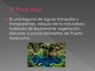    Es una laguna de aguas tranquilas y
    transparentes, reliquia de la naturaleza,
    rodeada de exuberante vegetación.
    Ubicado a pocos kilómetros de Puerto
    Ayacucho.
 