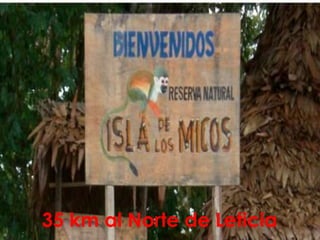 35 km al Norte de Leticia