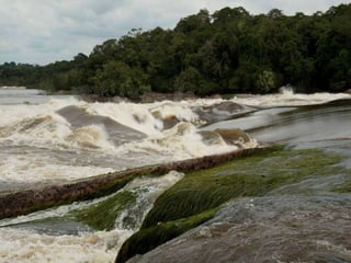 Amazonas
