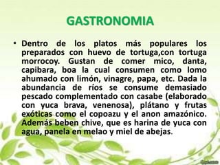GASTRONOMIA 
• Dentro de los platos más populares los 
preparados con huevo de tortuga,con tortuga 
morrocoy. Gustan de comer mico, danta, 
capibara, boa la cual consumen como lomo 
ahumado con limón, vinagre, papa, etc. Dada la 
abundancia de ríos se consume demasiado 
pescado complementado con casabe (elaborado 
con yuca brava, venenosa), plátano y frutas 
exóticas como el copoazu y el anon amazónico. 
Además beben chive, que es harina de yuca con 
agua, panela en melao y miel de abejas. 
 