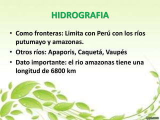 HIDROGRAFIA 
• Como fronteras: Limita con Perú con los ríos 
putumayo y amazonas. 
• Otros ríos: Apaporis, Caquetá, Vaupés 
• Dato importante: el rio amazonas tiene una 
longitud de 6800 km 
 