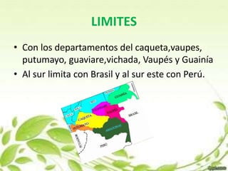 LIMITES 
• Con los departamentos del caqueta,vaupes, 
putumayo, guaviare,vichada, Vaupés y Guainía 
• Al sur limita con Brasil y al sur este con Perú. 
 