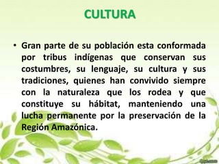 CULTURA 
• Gran parte de su población esta conformada 
por tribus indígenas que conservan sus 
costumbres, su lenguaje, su cultura y sus 
tradiciones, quienes han convivido siempre 
con la naturaleza que los rodea y que 
constituye su hábitat, manteniendo una 
lucha permanente por la preservación de la 
Región Amazónica. 
 