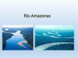 Río Amazonas
 