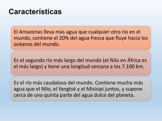 Características
El Amazonas lleva más agua que cualquier otro río en el
mundo, contiene el 20% del agua fresca que fluye hacia los
océanos del mundo.
Es el segundo río más largo del mundo (el Nilo en África es
el más largo) y tiene una longitud cercana a los 7.100 km.
Es el río más caudaloso del mundo. Contiene mucha más
agua que el Nilo, el Yangtsé y el Misisipi juntos, y supone
cerca de una quinta parte del agua dulce del planeta.
 