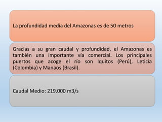 La profundidad media del Amazonas es de 50 metros
Gracias a su gran caudal y profundidad, el Amazonas es
también una importante vía comercial. Los principales
puertos que acoge el río son Iquitos (Perú), Leticia
(Colombia) y Manaos (Brasil).
Caudal Medio: 219.000 m3/s
 
