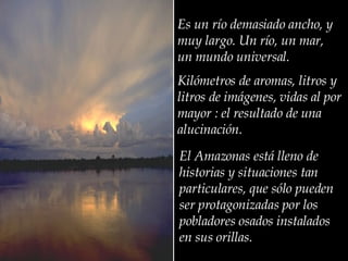 Es un río demasiado ancho, y muy largo. Un río, un mar, un mundo universal. Kilómetros de aromas, litros y litros de imágenes, vidas al por mayor : el resultado de una alucinación. El Amazonas está lleno de historias y situaciones tan  particulares, que sólo pueden  ser protagonizadas por los pobladores osados instalados en sus orillas.  
