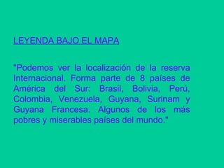 LEYENDA BAJO EL MAPA "Podemos ver la localización de la reserva Internacional. Forma parte de 8 países de América del Sur: Brasil, Bolivia, Perú, Colombia, Venezuela, Guyana, Surinam y Guyana Francesa. Algunos de los más pobres y miserables países del mundo."  