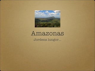 Amazonas
Jordens lungor…
 