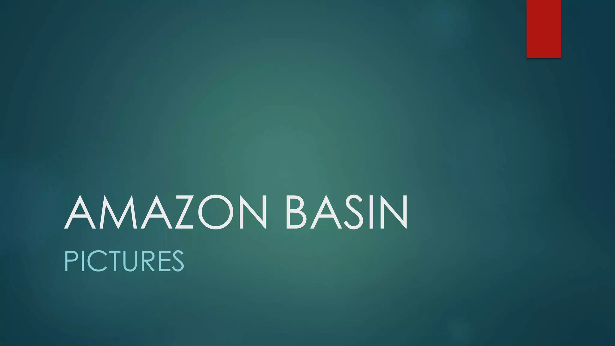 AMAZON BASIN
PICTURES