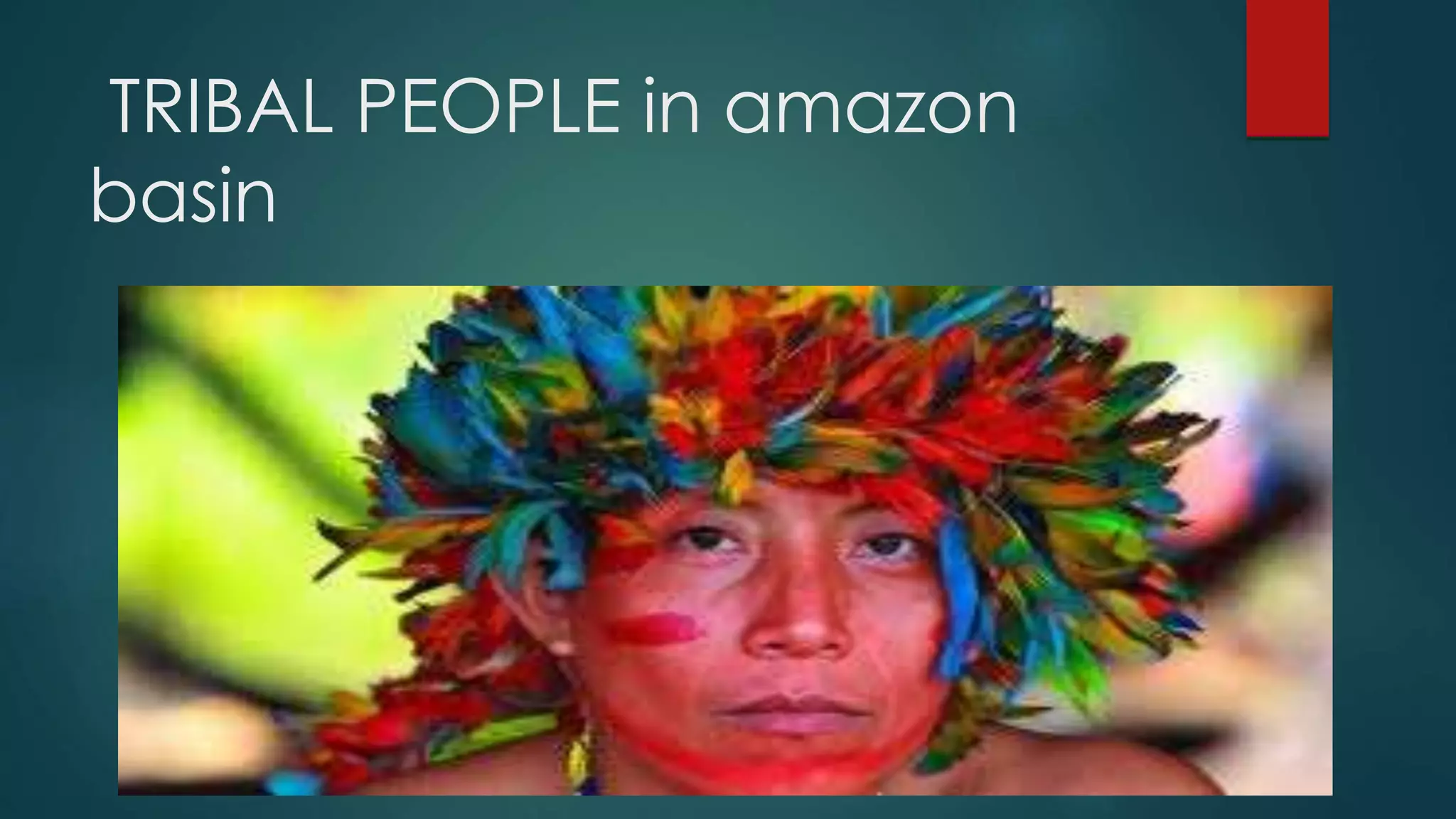 TRIBAL PEOPLE in amazon
basin