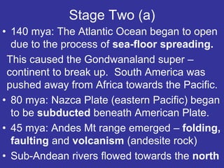 • 140 mya: The Atlantic Ocean began to open
due to the process of sea-floor spreading.
This caused the Gondwanaland super –
continent to break up. South America was
pushed away from Africa towards the Pacific.
• 80 mya: Nazca Plate (eastern Pacific) began
to be subducted beneath American Plate.
• 45 mya: Andes Mt range emerged – folding,
faulting and volcanism (andesite rock)
• Sub-Andean rivers flowed towards the north
Stage Two (a)
 