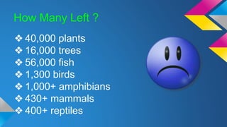 How Many Left ?
❖ 40,000 plants
❖ 16,000 trees
❖ 56,000 fish
❖ 1,300 birds
❖ 1,000+ amphibians
❖ 430+ mammals
❖ 400+ reptiles
 