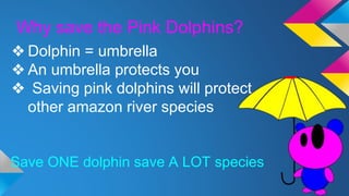Why save the Pink Dolphins?
❖ Dolphin = umbrella
❖ An umbrella protects you
❖ Saving pink dolphins will protect
other amazon river species
Save ONE dolphin save A LOT species
 