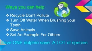 Ways you can help
❖ Recycle Don’t Pollute
❖ Turn Off Water When Brushing your
Teeth
❖ Save Animals
❖ Set An Example For Others
Save ONE dolphin save A LOT of species
 