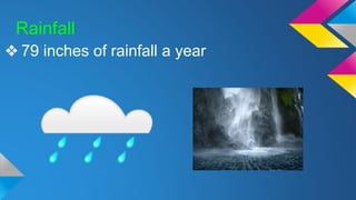 Rainfall
❖ 79 inches of rainfall a year
 