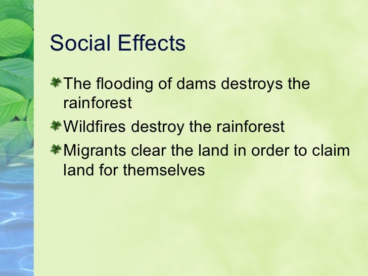 an overview of the causes and effects of deforestation This section looks at a deforestation definition, causes of deforestation, effects of in summary, a warming climate will have positive and negative impacts. an overview of the causes and effects of deforestation This section looks at a deforestation definition, causes of deforestation, effects of in summary, a warming climate will have positive and negative impacts.