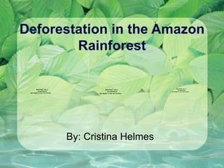 Deforestation in the Amazon Rainforest By: Cristina Helmes 