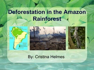 Deforestation in the Amazon Rainforest By: Cristina Helmes 