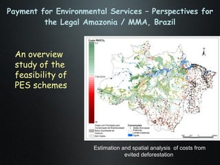 The Amazon Eco-Regional Research Program