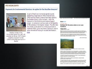 The Amazon Eco-Regional Research Program