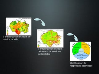 The Amazon Eco-Regional Research Program