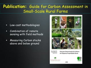 The Amazon Eco-Regional Research Program