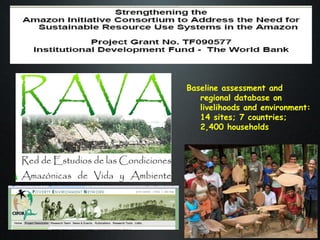 The Amazon Eco-Regional Research Program