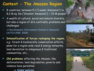 The Amazon Eco-Regional Research Program