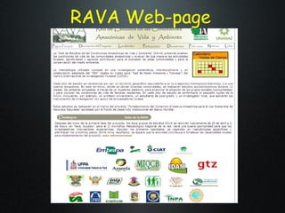 The Amazon Eco-Regional Research Program