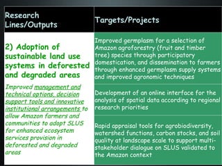 The Amazon Eco-Regional Research Program