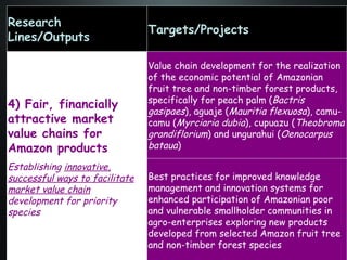 The Amazon Eco-Regional Research Program