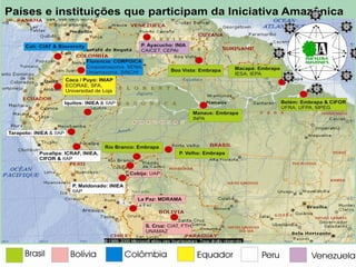 The Amazon Eco-Regional Research Program