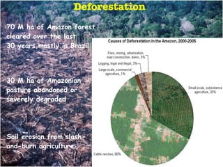 The Amazon Eco-Regional Research Program
