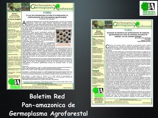 The Amazon Eco-Regional Research Program