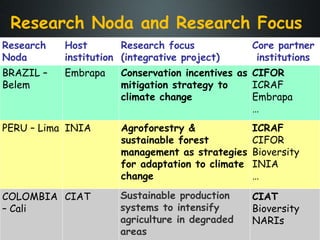 The Amazon Eco-Regional Research Program