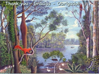 The Amazon Eco-Regional Research Program