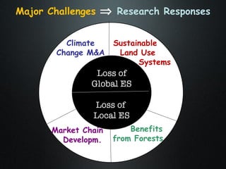 The Amazon Eco-Regional Research Program