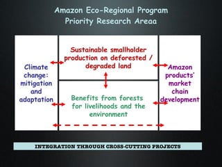 The Amazon Eco-Regional Research Program